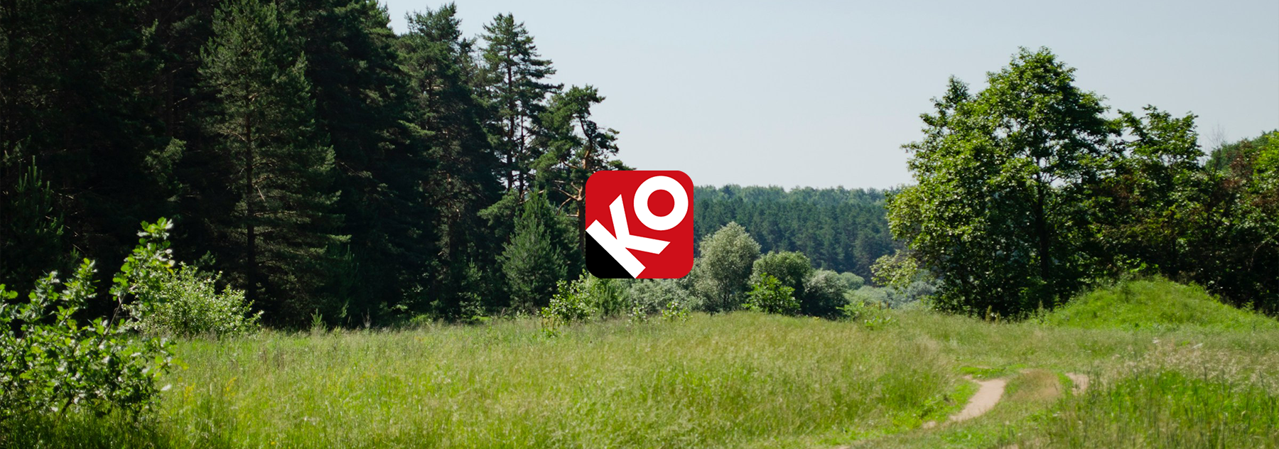 banner-section